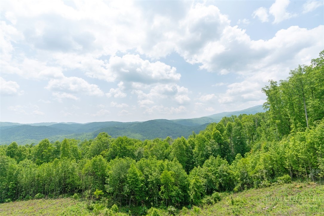 191 Falcon Trace, Unit C531 Boone, NC 28607 - Photo 15 of 45