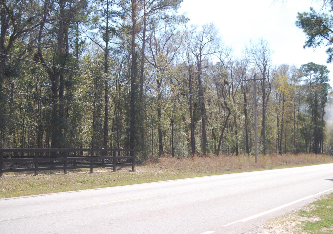 A Bears Bluff Road Wadmalaw Island, SC 29487 - Photo 11 of 12 thumb_DSC_0001-crop