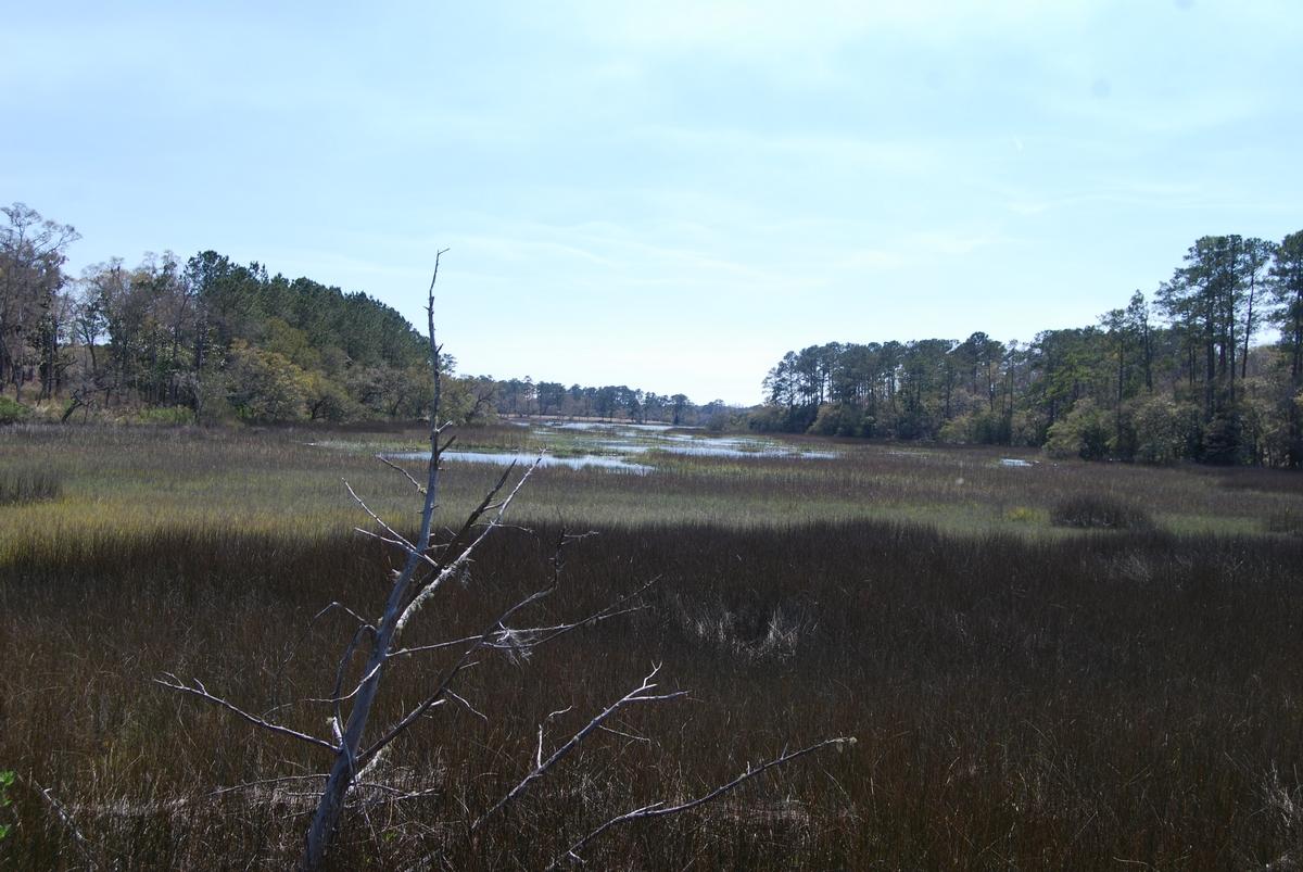 A Bears Bluff Road Wadmalaw Island, SC 29487 - Photo 3 of 12 thumb_DSC_0057