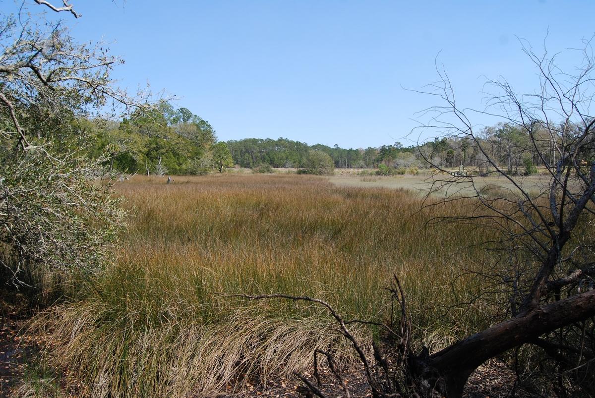 A Bears Bluff Road Wadmalaw Island, SC 29487 - Photo 10 of 12 thumb_DSC_0032