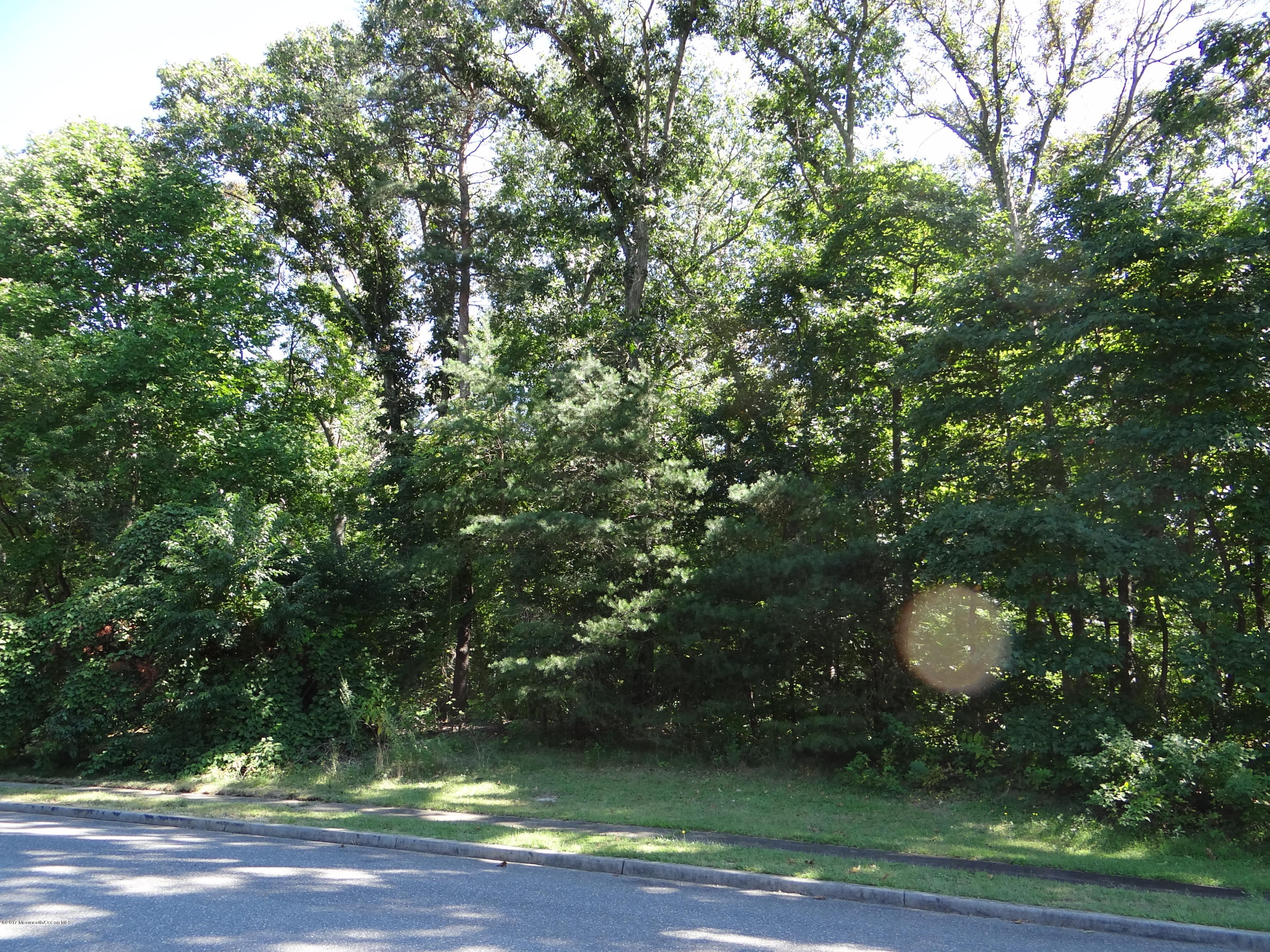 7 Cranberry Court Cream Ridge, NJ 08514 - Photo 2 of 3 7 Cranberry Court Lot