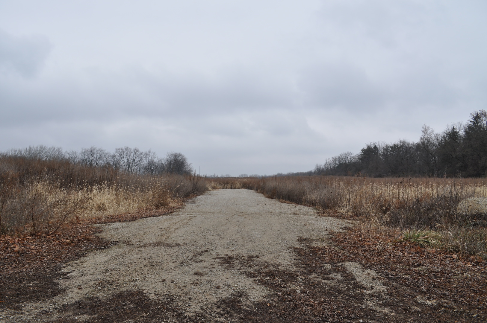 7830 West Bruns Road Monee, IL 60449 - Photo 4 of 8 a view of a dry yard with green space and fog