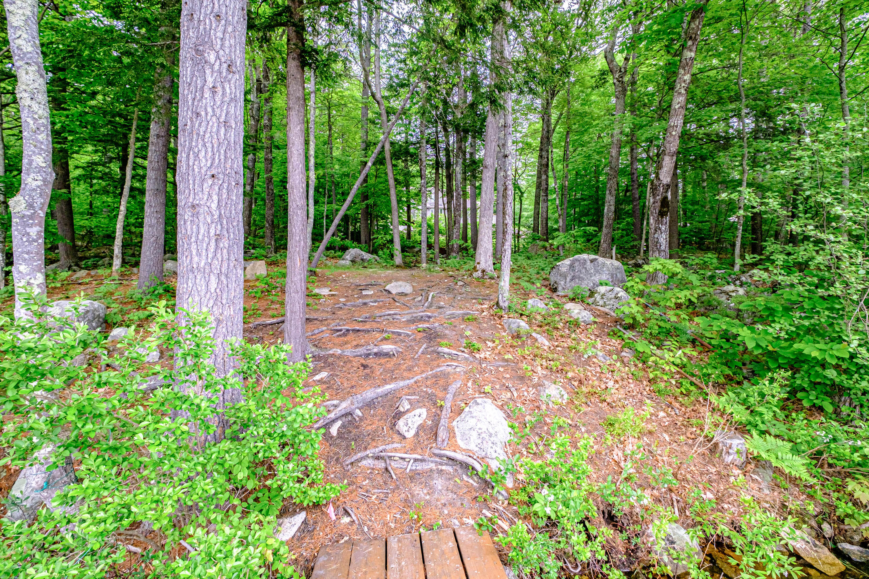 35 Granite Road Naples, ME 04055 - Photo 148 of 161 20220531mvht-62169