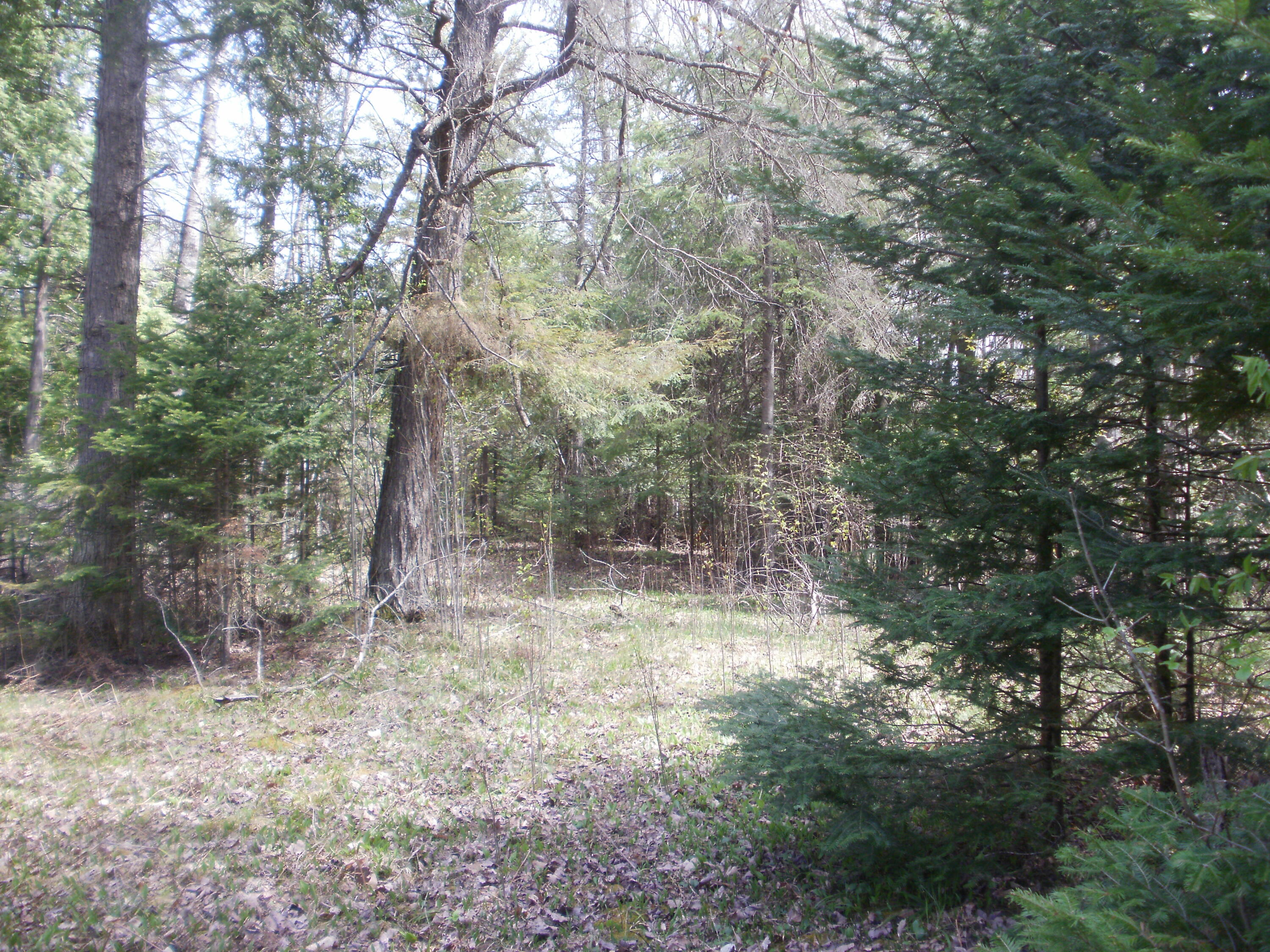 1730 Maxwell Road Cheboygan, MI 49721 - Photo 12 of 18 Gallery Image 12