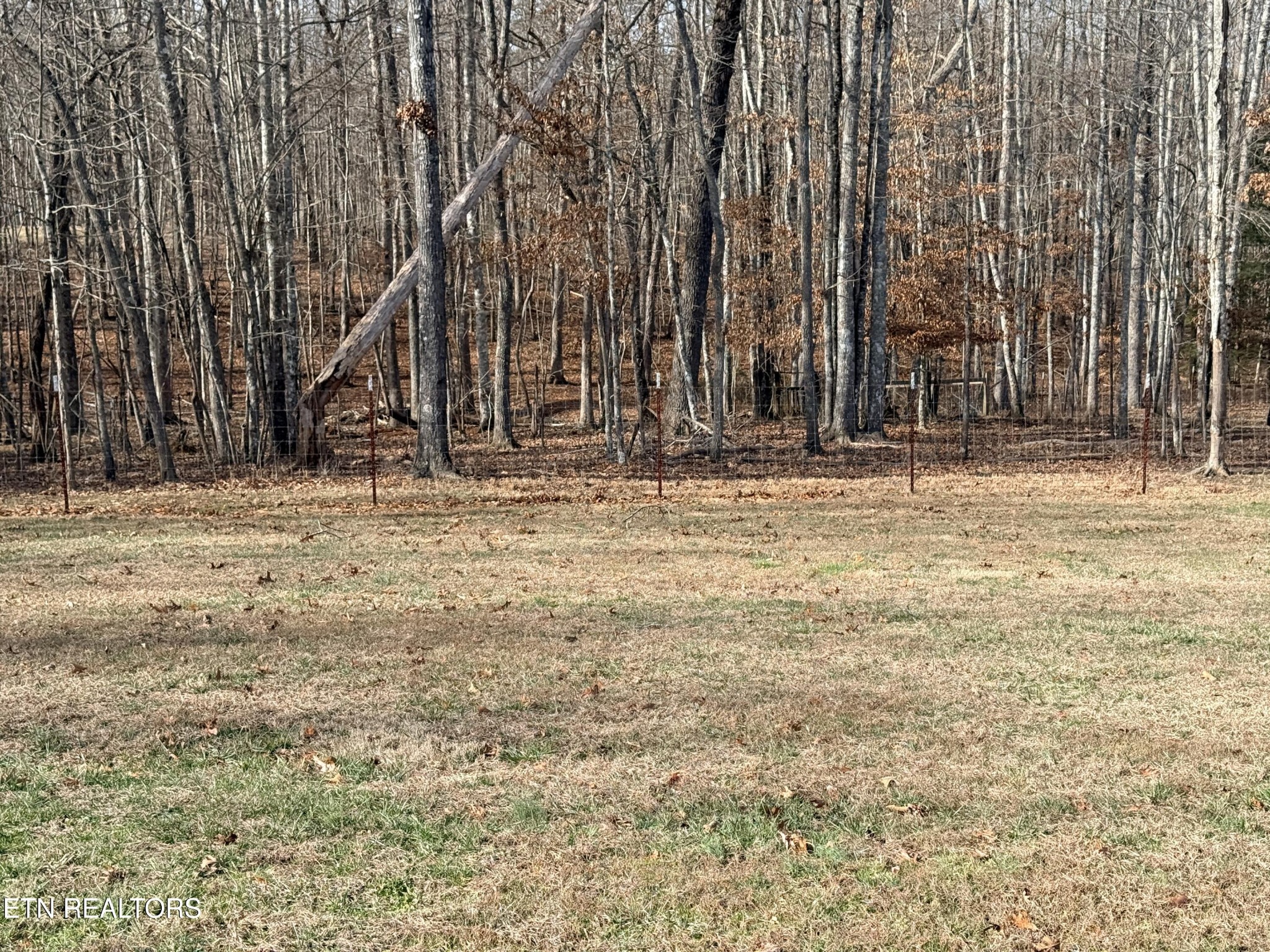 1926 Old Grimsley Road Grimsley, TN 38565 - Photo 5 of 41 a view of a backyard of the house