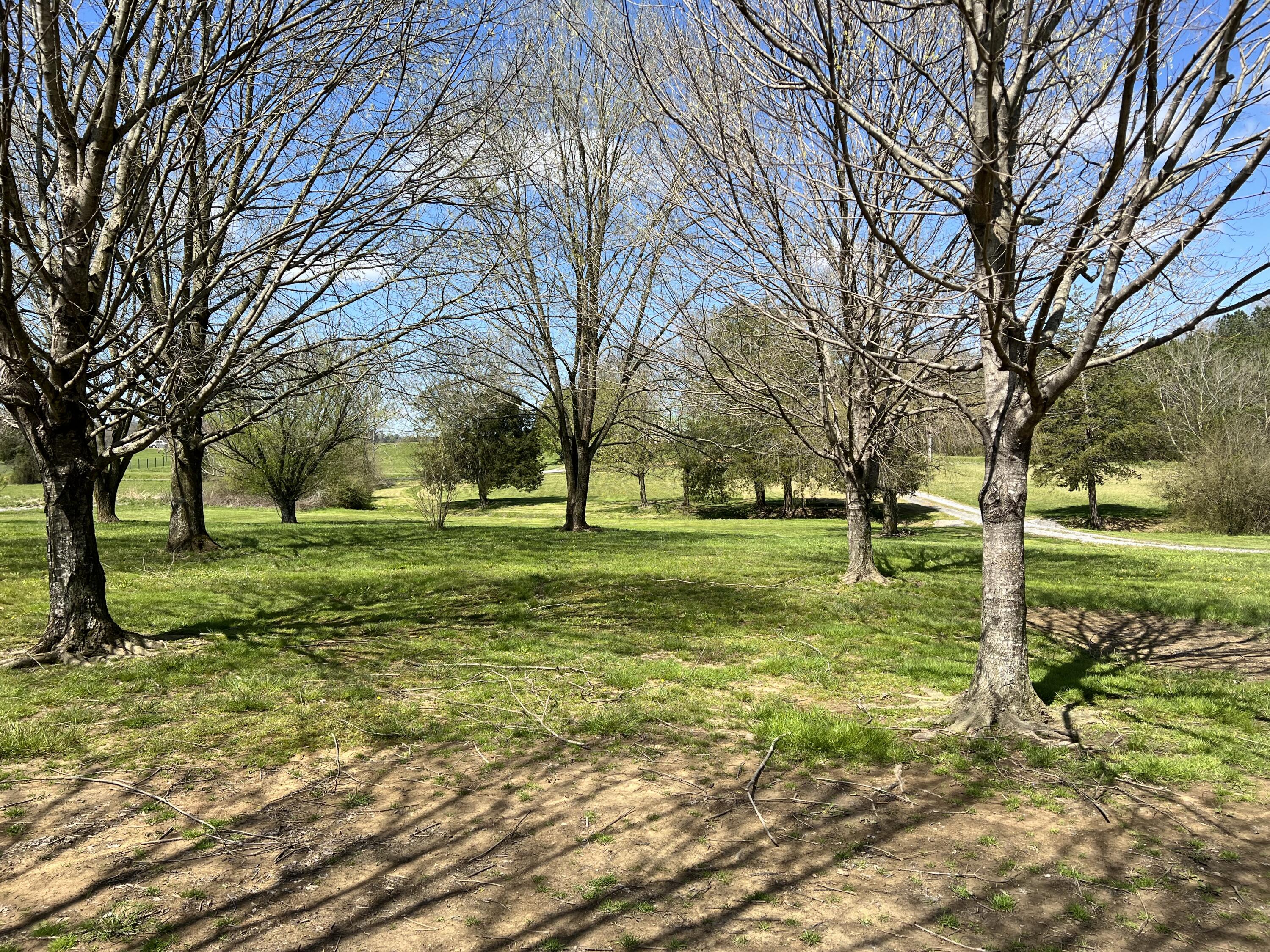 1135 Strawhill Road Southeast Cleveland, TN 37323 - Photo 8 of 14 1135 Strawhill Rd Front Yard