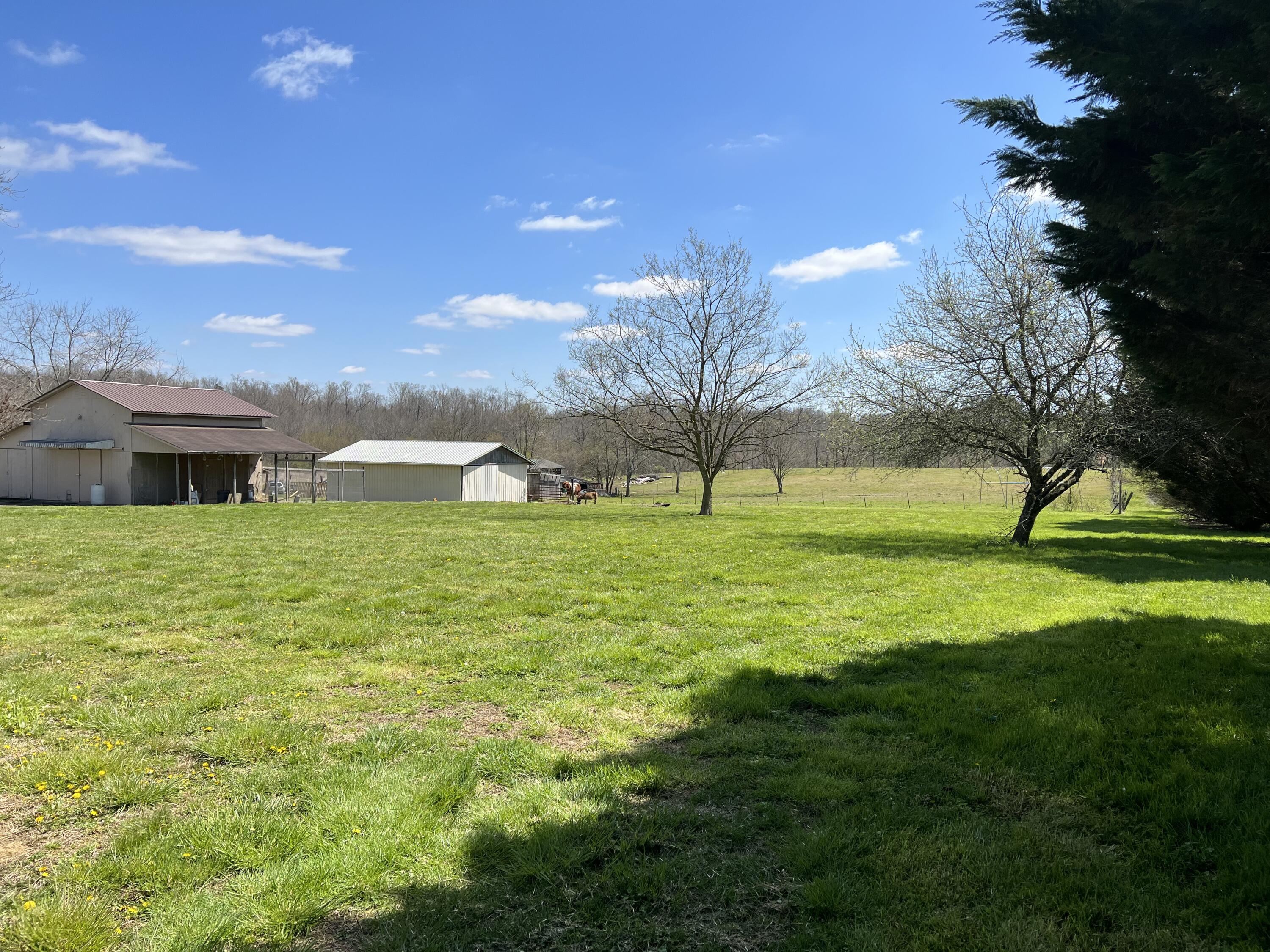 1135 Strawhill Road Southeast Cleveland, TN 37323 - Photo 9 of 14 1135 Strawhill Rd 4