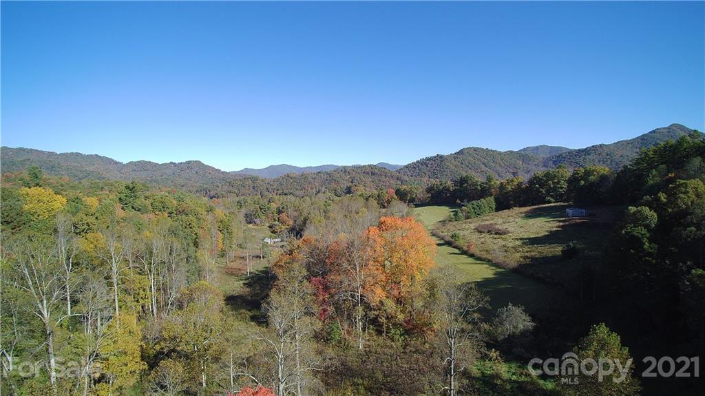 2 A Rabbit Skin Road, Unit TRACT 2A Waynesville, NC 28785 - Photo 1 of 35 Gallery Image 1