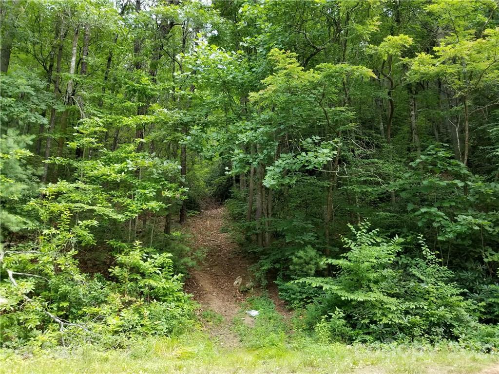 2 A Rabbit Skin Road, Unit TRACT 2A Waynesville, NC 28785 - Photo 2 of 35 Gallery Image 2
