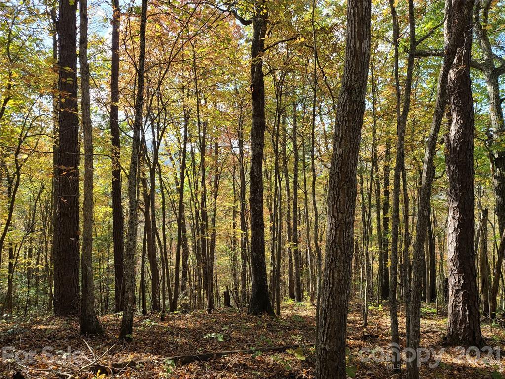 2 A Rabbit Skin Road, Unit TRACT 2A Waynesville, NC 28785 - Photo 11 of 35 Gallery Image 11