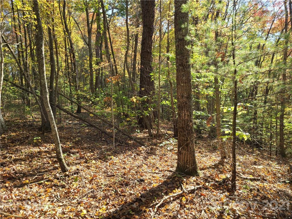 2 A Rabbit Skin Road, Unit TRACT 2A Waynesville, NC 28785 - Photo 12 of 35 Gallery Image 12