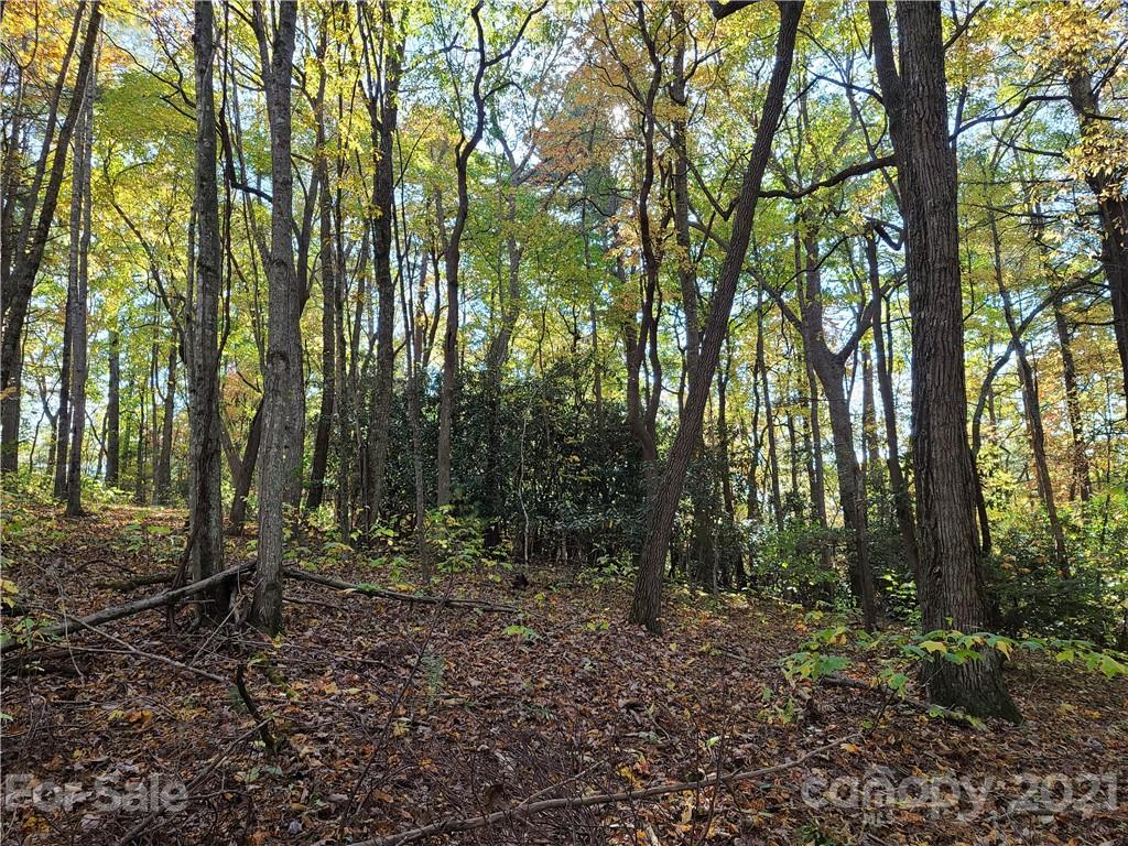 2 A Rabbit Skin Road, Unit TRACT 2A Waynesville, NC 28785 - Photo 13 of 35 Gallery Image 13
