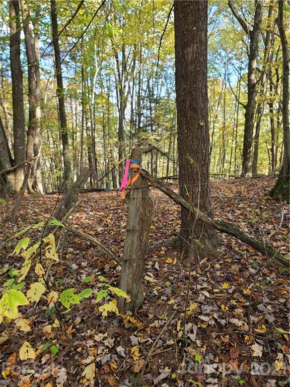 2 A Rabbit Skin Road, Unit TRACT 2A Waynesville, NC 28785 - Photo 16 of 35 Gallery Image 16
