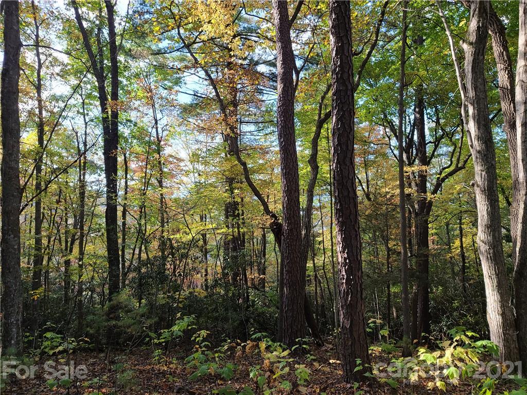 2 A Rabbit Skin Road, Unit TRACT 2A Waynesville, NC 28785 - Photo 20 of 35 Gallery Image 20