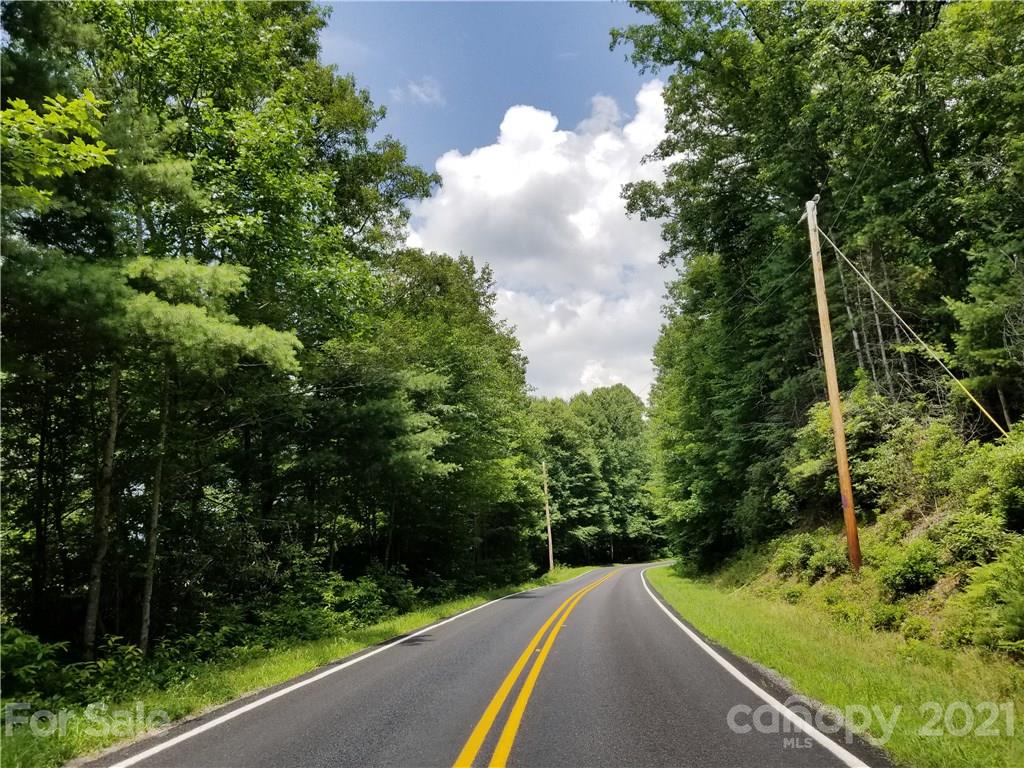 2 A Rabbit Skin Road, Unit TRACT 2A Waynesville, NC 28785 - Photo 3 of 35 Gallery Image 3