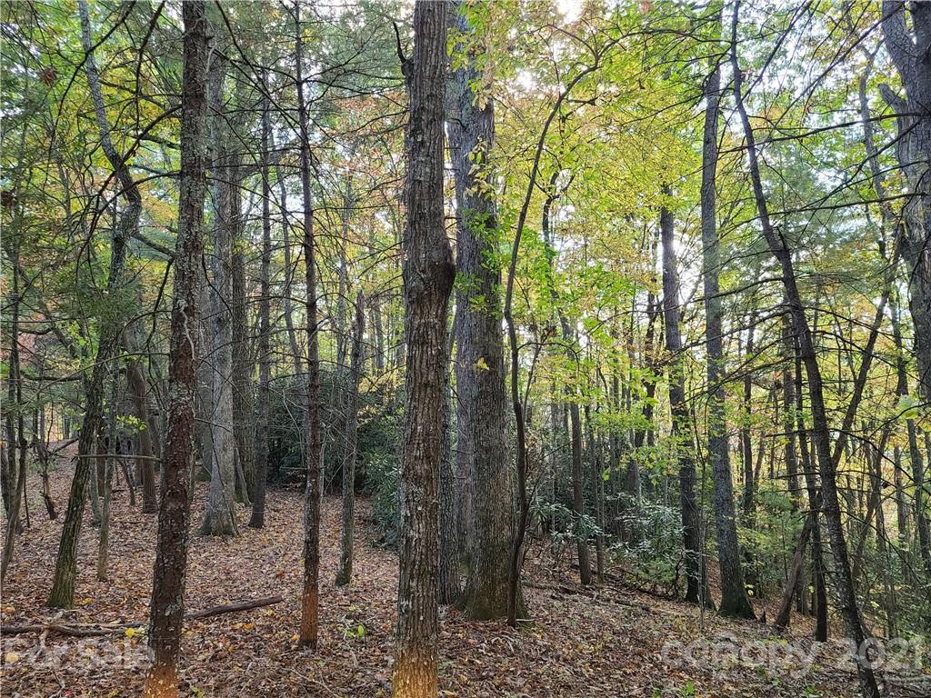 2 A Rabbit Skin Road, Unit TRACT 2A Waynesville, NC 28785 - Photo 21 of 35 Gallery Image 21
