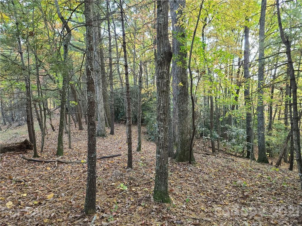 2 A Rabbit Skin Road, Unit TRACT 2A Waynesville, NC 28785 - Photo 22 of 35 Gallery Image 22