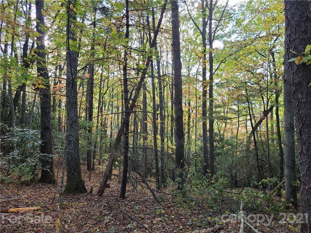 2 A Rabbit Skin Road, Unit TRACT 2A Waynesville, NC 28785 - Photo 23 of 35 Gallery Image 23