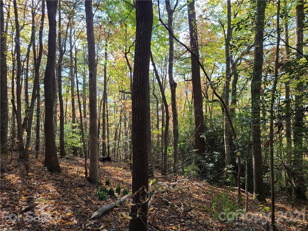 2 A Rabbit Skin Road, Unit TRACT 2A Waynesville, NC 28785 - Photo 24 of 35 Gallery Image 24