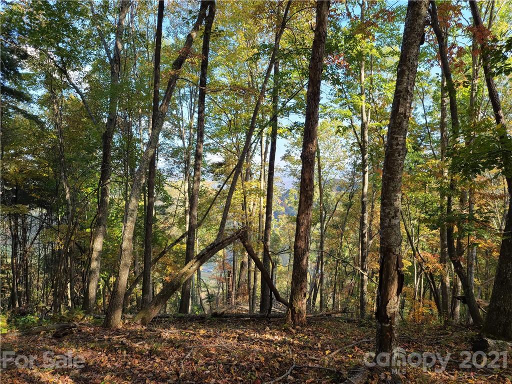 2 A Rabbit Skin Road, Unit TRACT 2A Waynesville, NC 28785 - Photo 25 of 35 Gallery Image 25