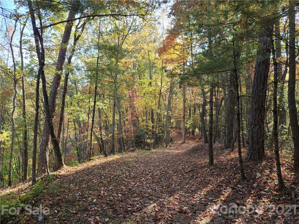 2 A Rabbit Skin Road, Unit TRACT 2A Waynesville, NC 28785 - Photo 26 of 35 Gallery Image 26