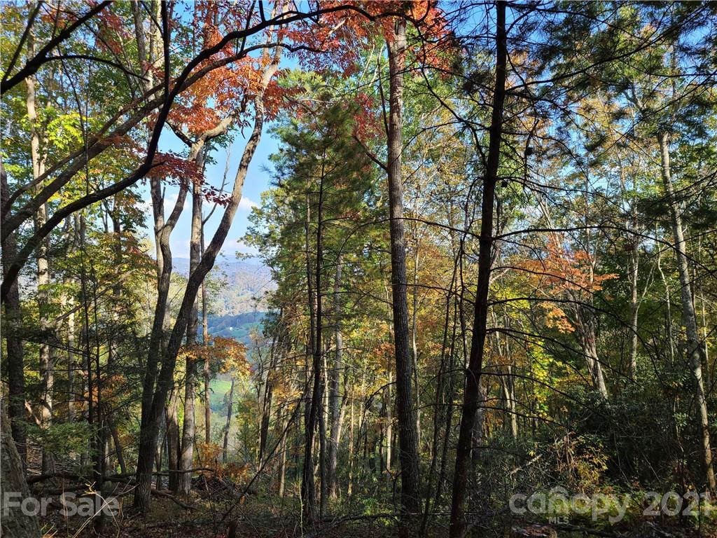 2 A Rabbit Skin Road, Unit TRACT 2A Waynesville, NC 28785 - Photo 27 of 35 Gallery Image 27
