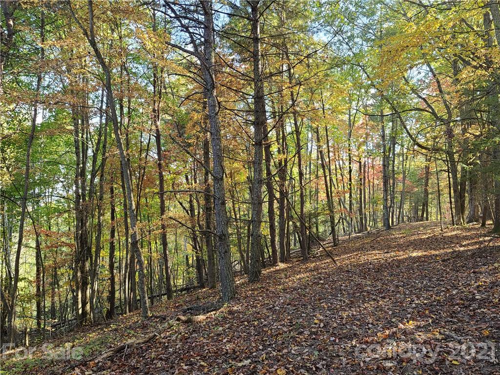 2 A Rabbit Skin Road, Unit TRACT 2A Waynesville, NC 28785 - Photo 28 of 35 Gallery Image 28