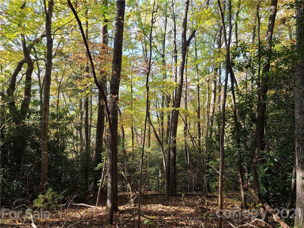 2 A Rabbit Skin Road, Unit TRACT 2A Waynesville, NC 28785 - Photo 29 of 35 Gallery Image 29
