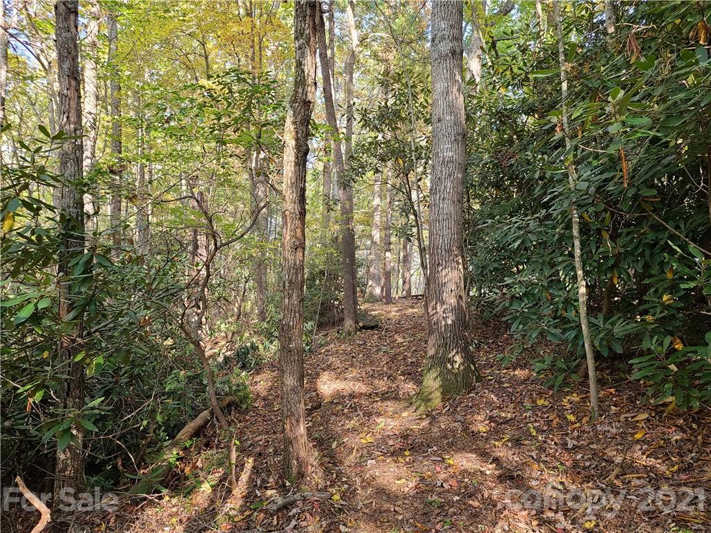 2 A Rabbit Skin Road, Unit TRACT 2A Waynesville, NC 28785 - Photo 30 of 35 Gallery Image 30