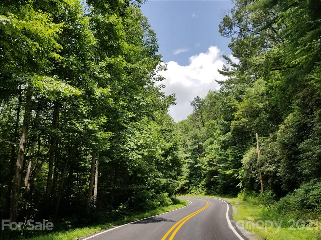 2 A Rabbit Skin Road, Unit TRACT 2A Waynesville, NC 28785 - Photo 4 of 35 Gallery Image 4
