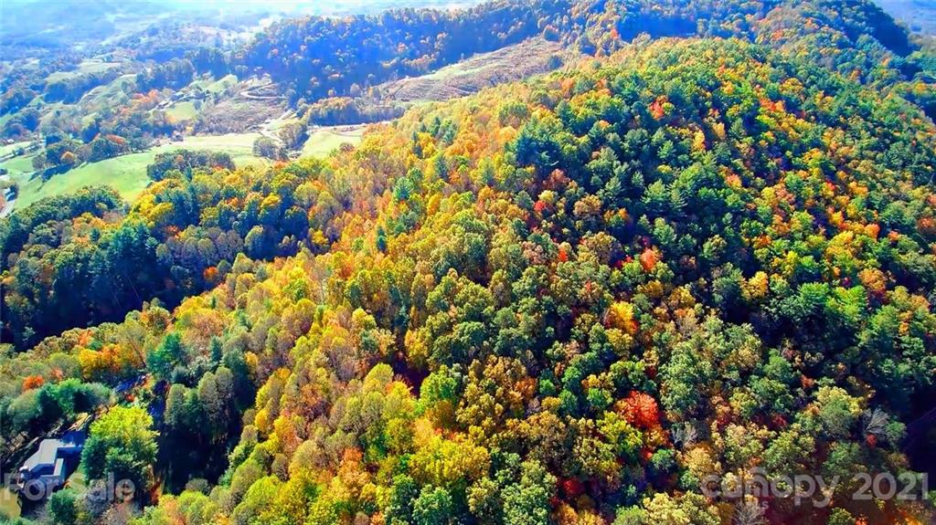 2 A Rabbit Skin Road, Unit TRACT 2A Waynesville, NC 28785 - Photo 32 of 35 Gallery Image 32