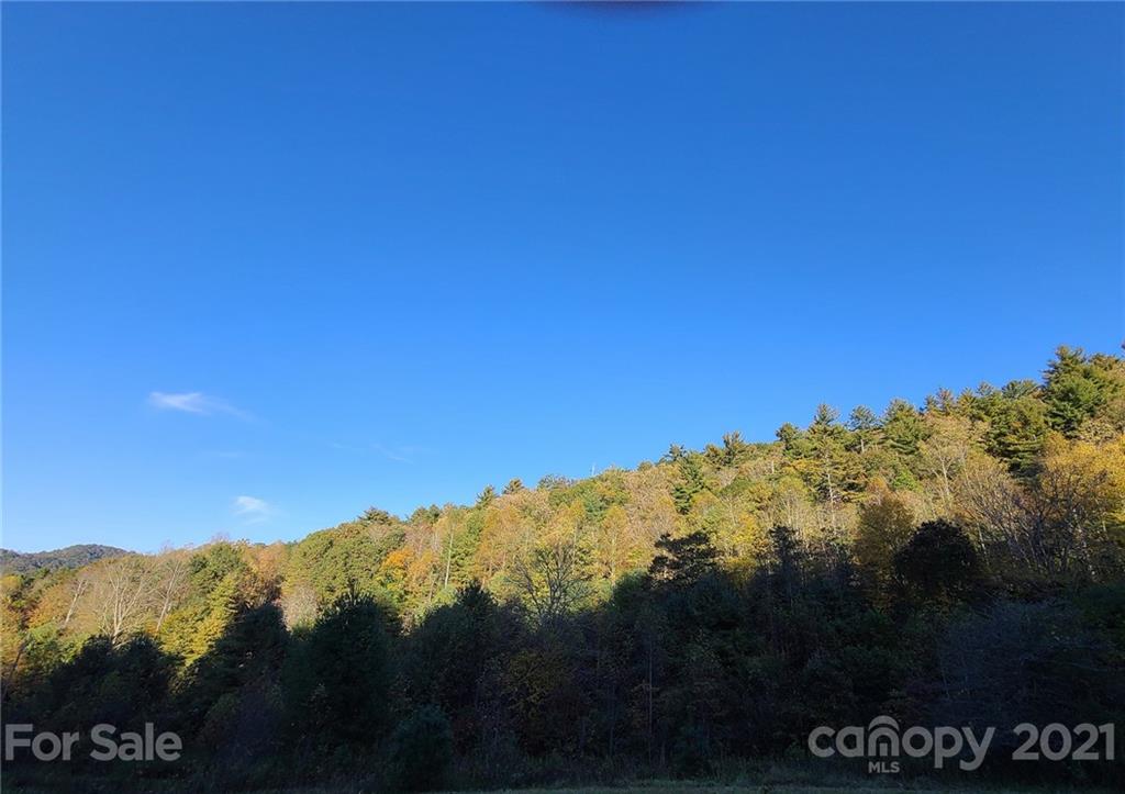 2 A Rabbit Skin Road, Unit TRACT 2A Waynesville, NC 28785 - Photo 35 of 35 Gallery Image 35