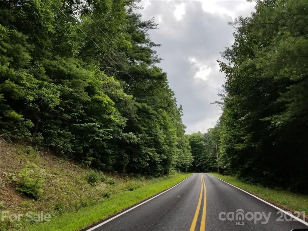 2 A Rabbit Skin Road, Unit TRACT 2A Waynesville, NC 28785 - Photo 5 of 35 Gallery Image 5