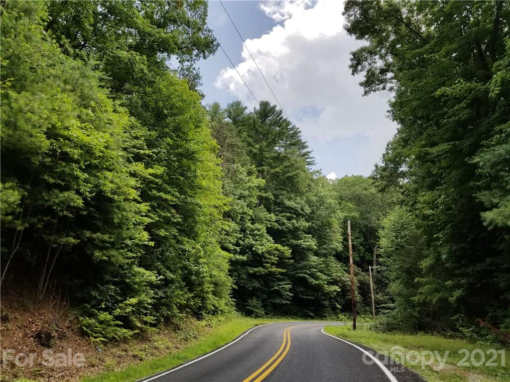 2 A Rabbit Skin Road, Unit TRACT 2A Waynesville, NC 28785 - Photo 6 of 35 Gallery Image 6