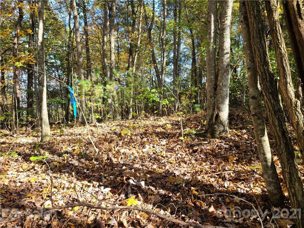 2 A Rabbit Skin Road, Unit TRACT 2A Waynesville, NC 28785 - Photo 8 of 35 Gallery Image 8