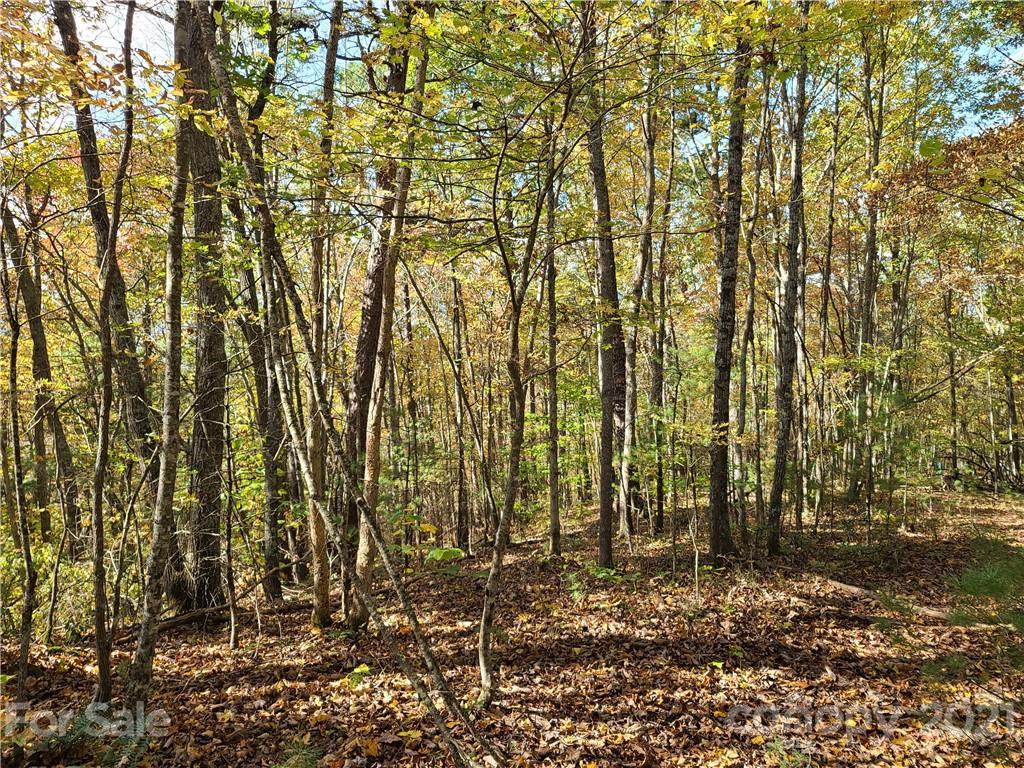 2 A Rabbit Skin Road, Unit TRACT 2A Waynesville, NC 28785 - Photo 9 of 35 Gallery Image 9