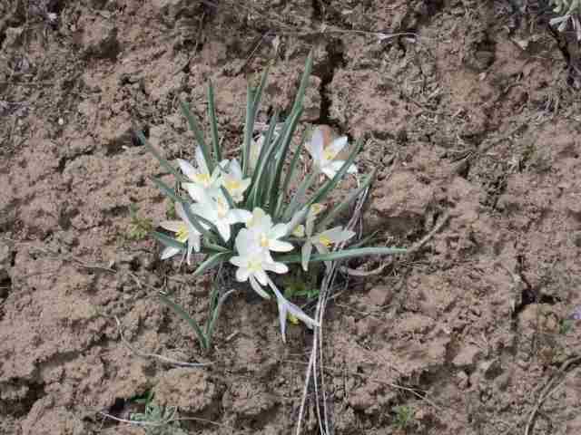 0 Rollingwood Road Chiloquin, OR 97624 - Photo 12 of 14 Additional Photo