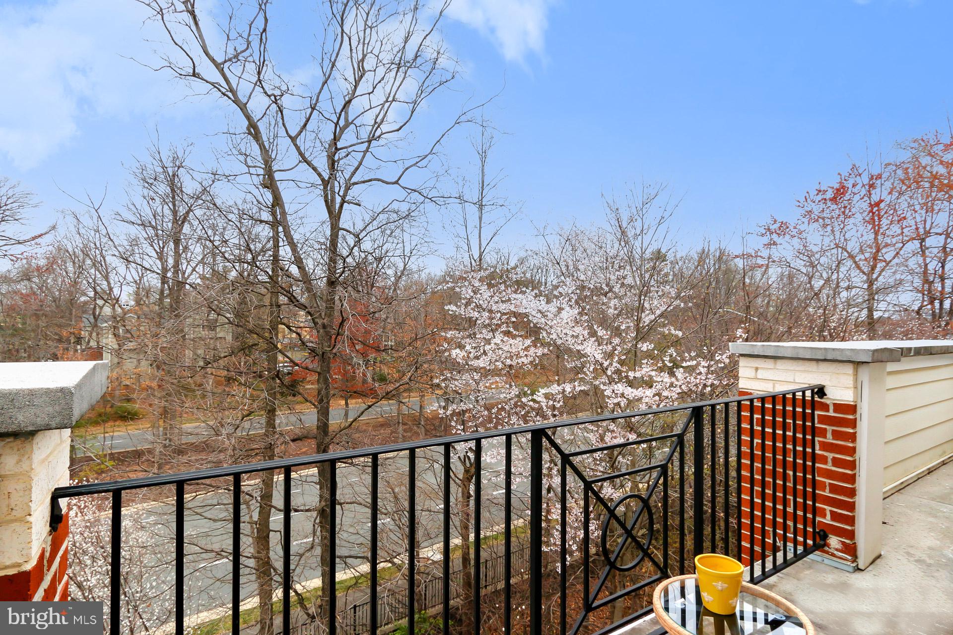 12432 Liberty Bridge Road Fairfax, VA 22033 - Photo 26 of 43 Step Outside to the Terrace:)