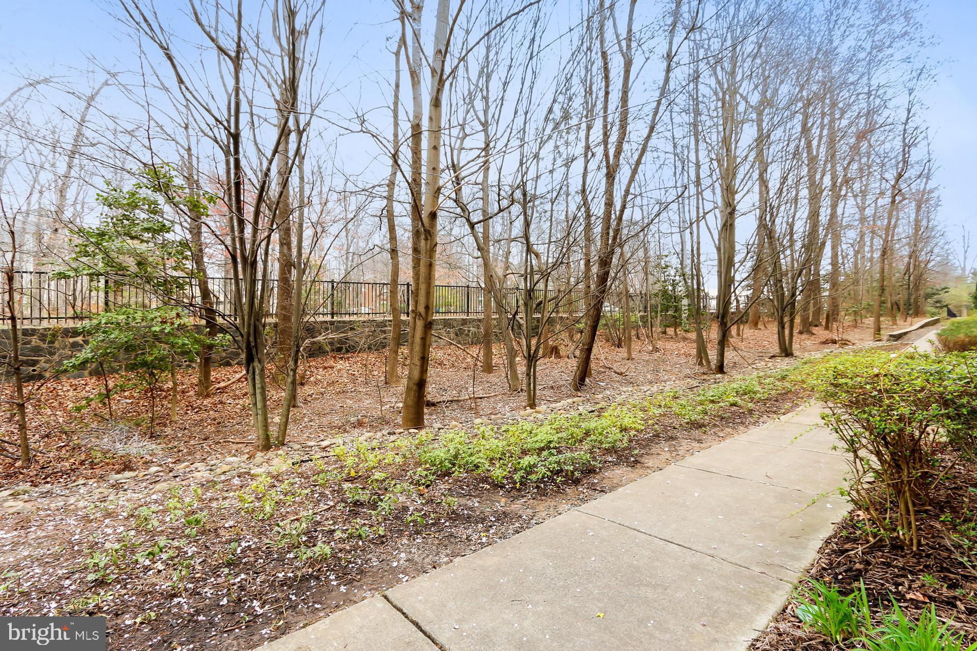 12432 Liberty Bridge Road Fairfax, VA 22033 - Photo 3 of 43 Previous Model Home Location= Upgraded Landscape