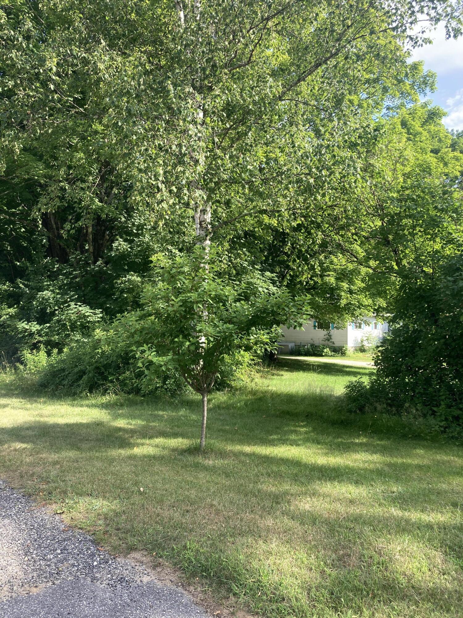 60 Pleasant Hill Road Freeport, ME 04032 - Photo 65 of 71 IMG_1009