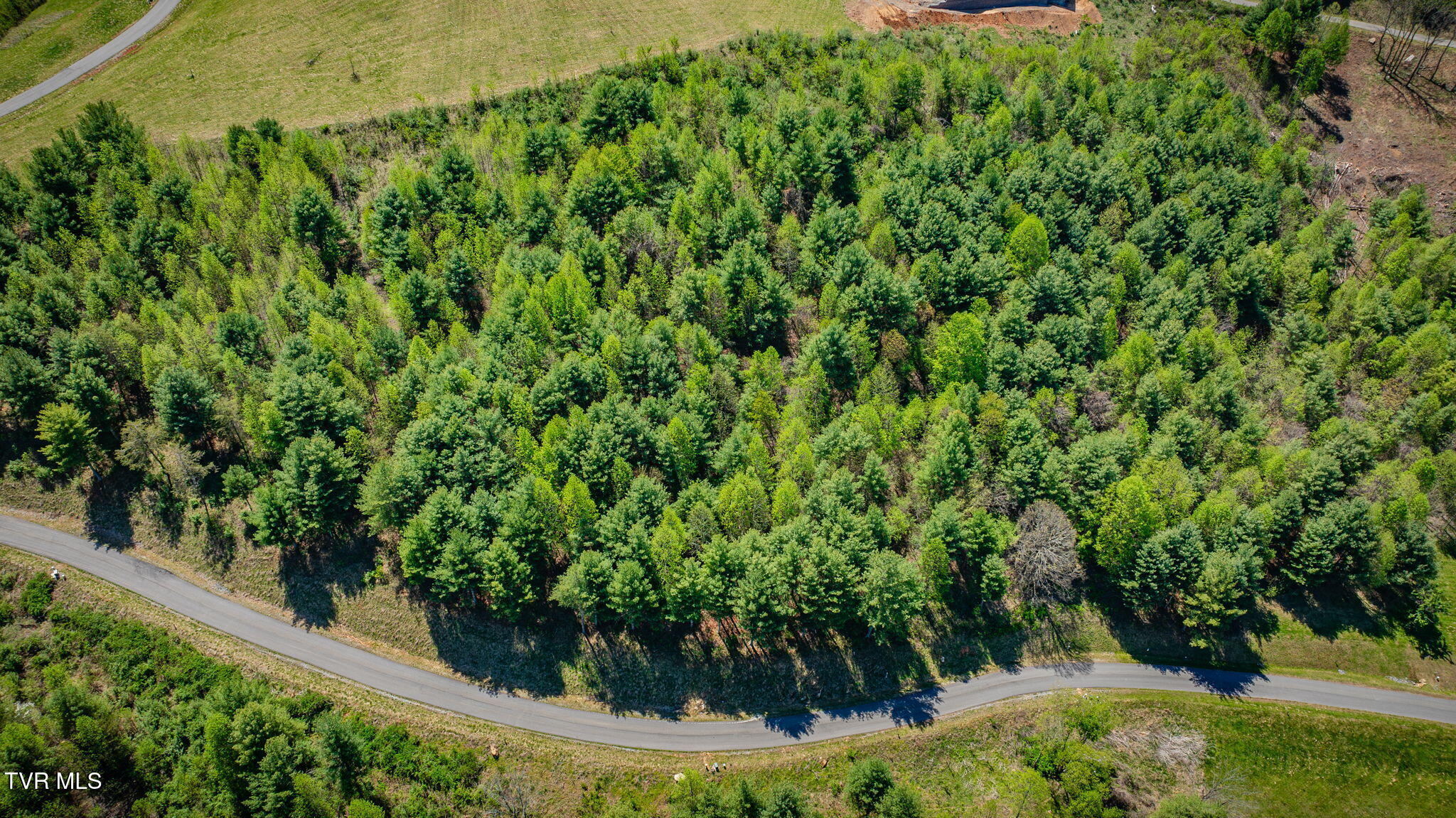 Lot 11 Cowan Town Road, Unit 11 Butler, TN 37640 - Photo 14 of 41 101 (2)