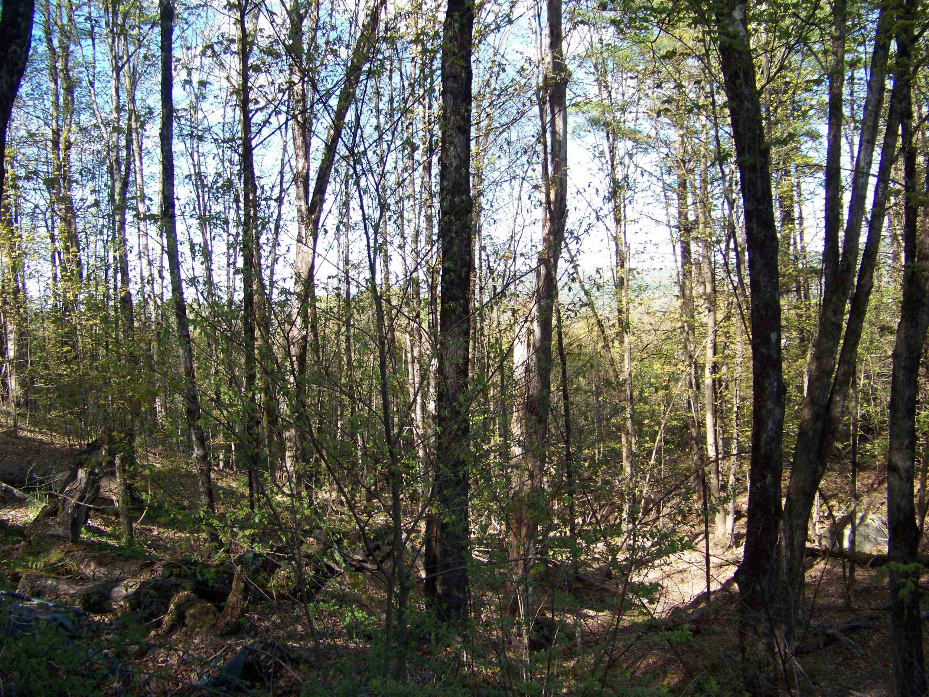 324 Sunrise Road Bethel, VT 05032 - Photo 5 of 21