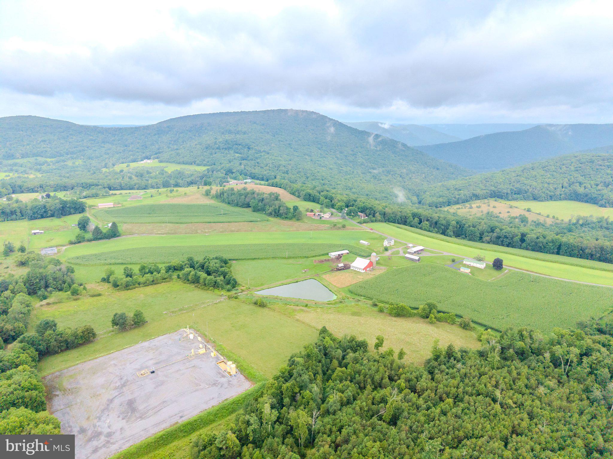 7606 Rose Valley Road Trout Run, PA 17771 - Photo 5 of 39 Serene countryside with rolling hills.