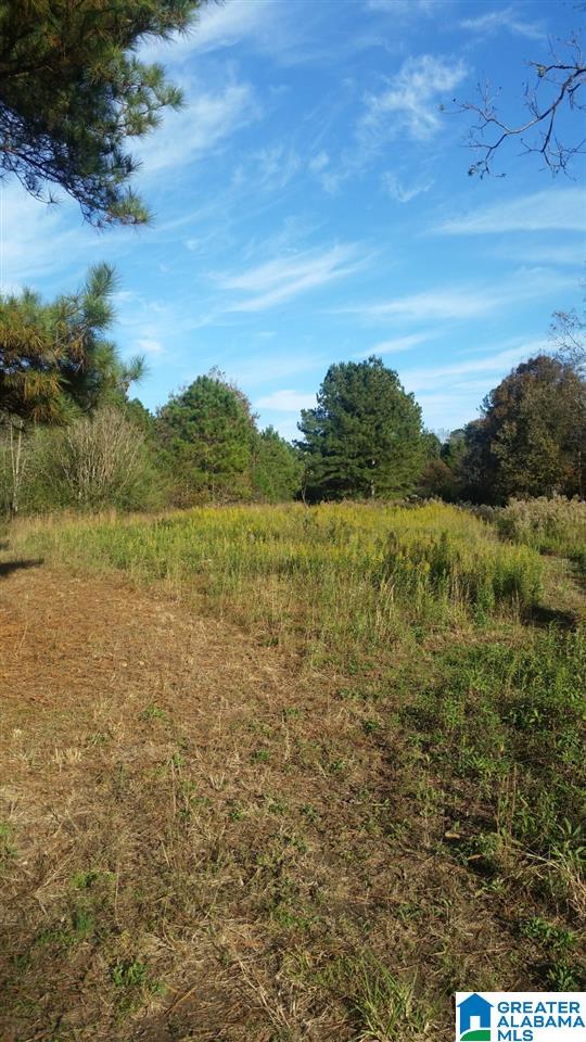 0 County Road 654 Muscadine, AL 36269 - Photo 2 of 9