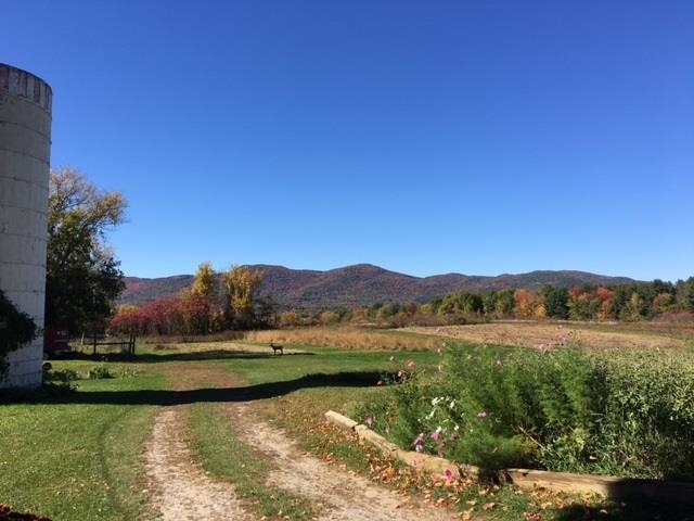 4875 Highway 7 Pittsford, VT 05763 - Photo 4 of 11