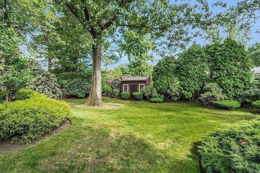 4 Belfast Road Peabody, MA 01960 - Photo 33 of 34 a view of a big yard with plants and large trees