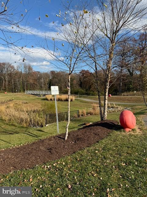 4638 Woodberry Street Riverdale, MD 20737 - Photo 69 of 78 Walk/Running Trails