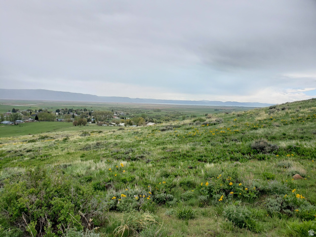 357 West 3rd Street North Bloomington, ID 83223 - Photo 5 of 10 Expansive hillside property featuring natural vegetation, scattered yellow wildflowers, and distant mountain ranges