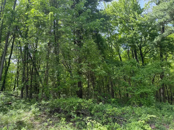$1,250,000 | V/l New Bailey Drive Northeast, Ada, MI 49301