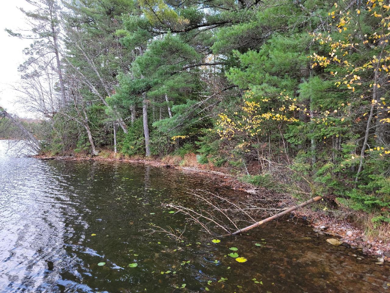 4570 South French Lake Road Park Falls, WI 54552 - Photo 12 of 18 Gallery Image 12